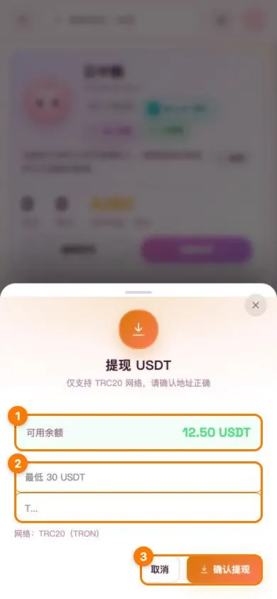 移动版 USDT 提现表单